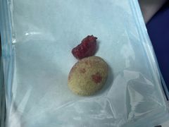 -北京观赏动物医院·24小时大型综合·猫专科·异宠专科