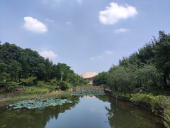 -映月湖公园