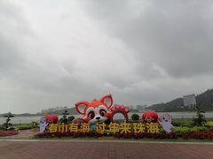 -野狸岛