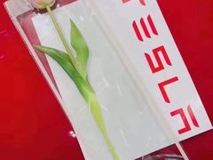 -TESLA 特斯拉(上海太古汇体验店)