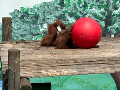 -西霞口神雕山野生动物世界