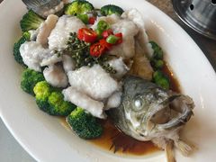 鲜椒鲈鱼-烤肉宛饭庄(北新桥店)