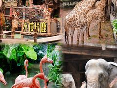-长鹿旅游休博园