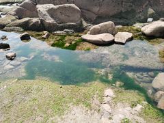 -燕儿岛山公园