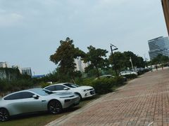 -张钰强中医正骨推拿连锁(唐家人才公寓店)