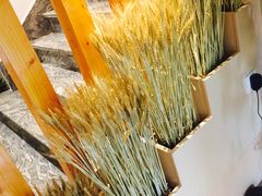 -麦子MaiMassage(打浦桥店)