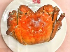 -新光酒家·河豚·海鲜·蟹料理(浦东店)