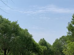 -丁香湖公园