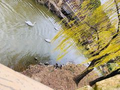 -无锡动物园·太湖欢乐园