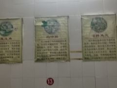 -针姨