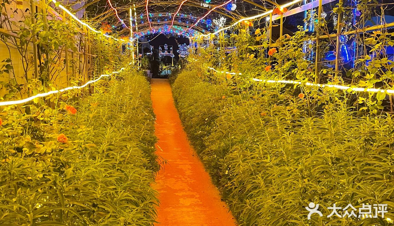 🌟大凉山的柴火鸡就是够味