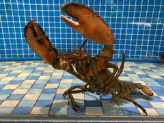 -蓝钻·国际美食海鲜自助百汇(西直门店)