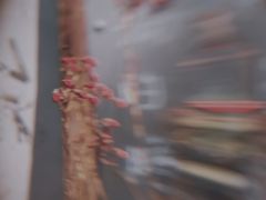 -时光花园(白鹭洲店)