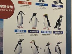 -重庆欢乐海底世界