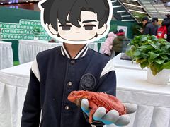 -万达广场(北京槐房店)