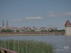 -九龙湖公园