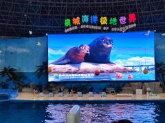-泉城欧乐堡海洋极地世界