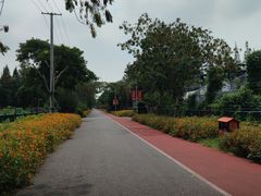 -上海长兴岛郊野公园