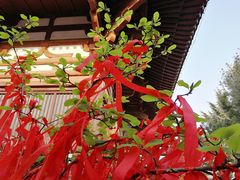 -西安青龙寺遗址景区