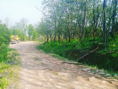 -铁山坪森林公园