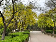 -莲花池公园