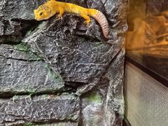 -无锡动物园·太湖欢乐园