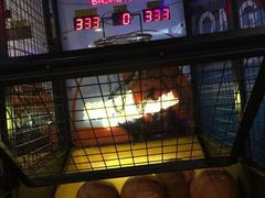 -大玩家(通州万达广场店)