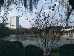 -桐乡植物园