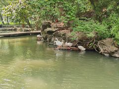 -兰亭风景区
