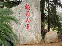 -武汉大学-樱园