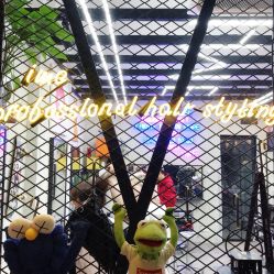 -SALON V