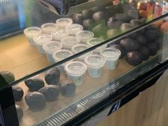 -油梨树AVOCADO TREE(望京店)
