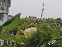 -红盔甲·小龙虾(人民广场店)