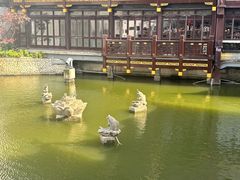 -豫园湖心亭茶楼