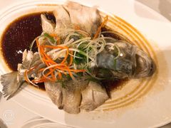 东坡江团鱼-眉州东坡(上海中心店)