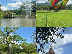 -西双版纳原始森林公园