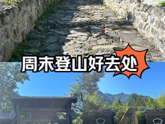 -阳台山自然风景区