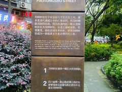 -泡桐树街