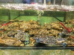 -聚鲜阁海鲜美食城(香水湾店)