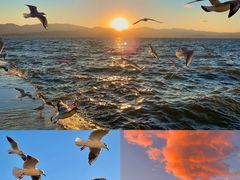 -大理洱海