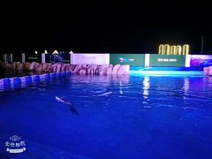 -三亚海昌梦幻海洋不夜城