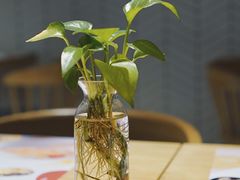 -炖物24章·顺时轻养茶(杭州保利时光里店)