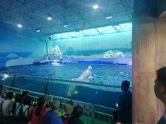 -秦皇岛乐岛海洋王国