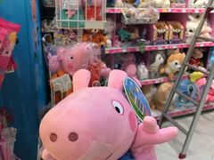 -TOYSRUS玩具反斗城(凯德广场云尚店)