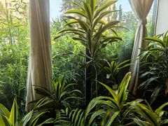 -太守宴·蘭院(天塔店)