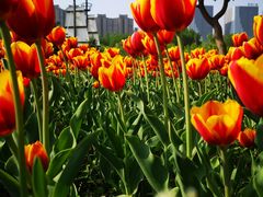 -长春公园(普阳街道)