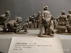 景点-上海海湾国家森林公园