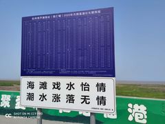 -南汇新城海滩