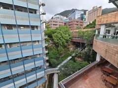 -香港大学