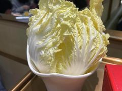 -海底捞火锅(奥森店)